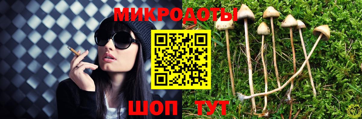 Мариинск  Псилоцибиновые грибы мицелий  Вход с VPN 